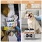 Pet Food Storage Containers for Dog, Cat, Bird, and Other Pet Treat Storage Bin, Suitable for Storage Snacks, Biscuits, and Bones (White)